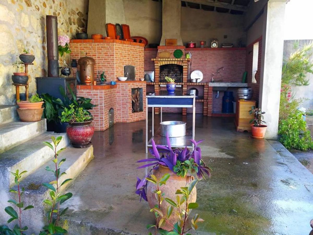 Casa Aurora Villa Penacova Kültér fotó